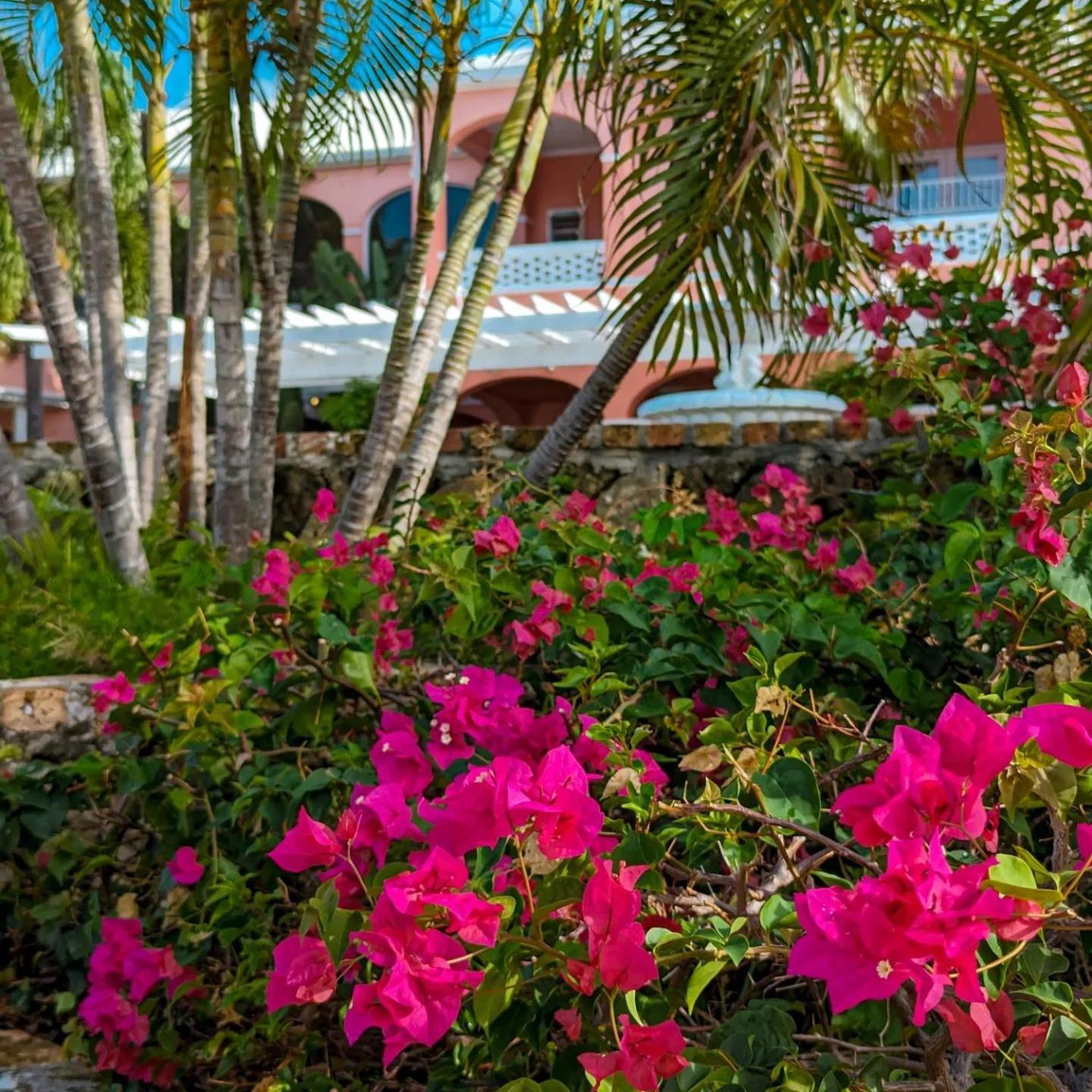The Buccaneer Beach & Golf Resort Christiansted Room photo